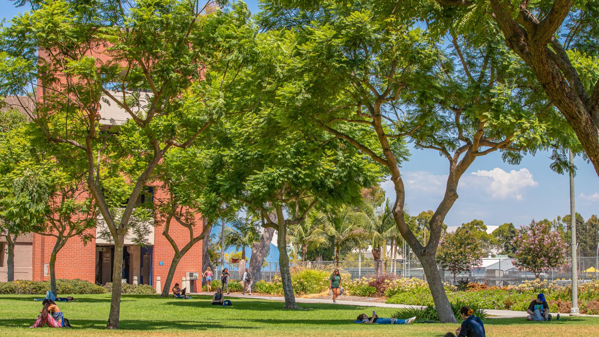 Snapshots of CSULB's fall semester California State University Long Beach